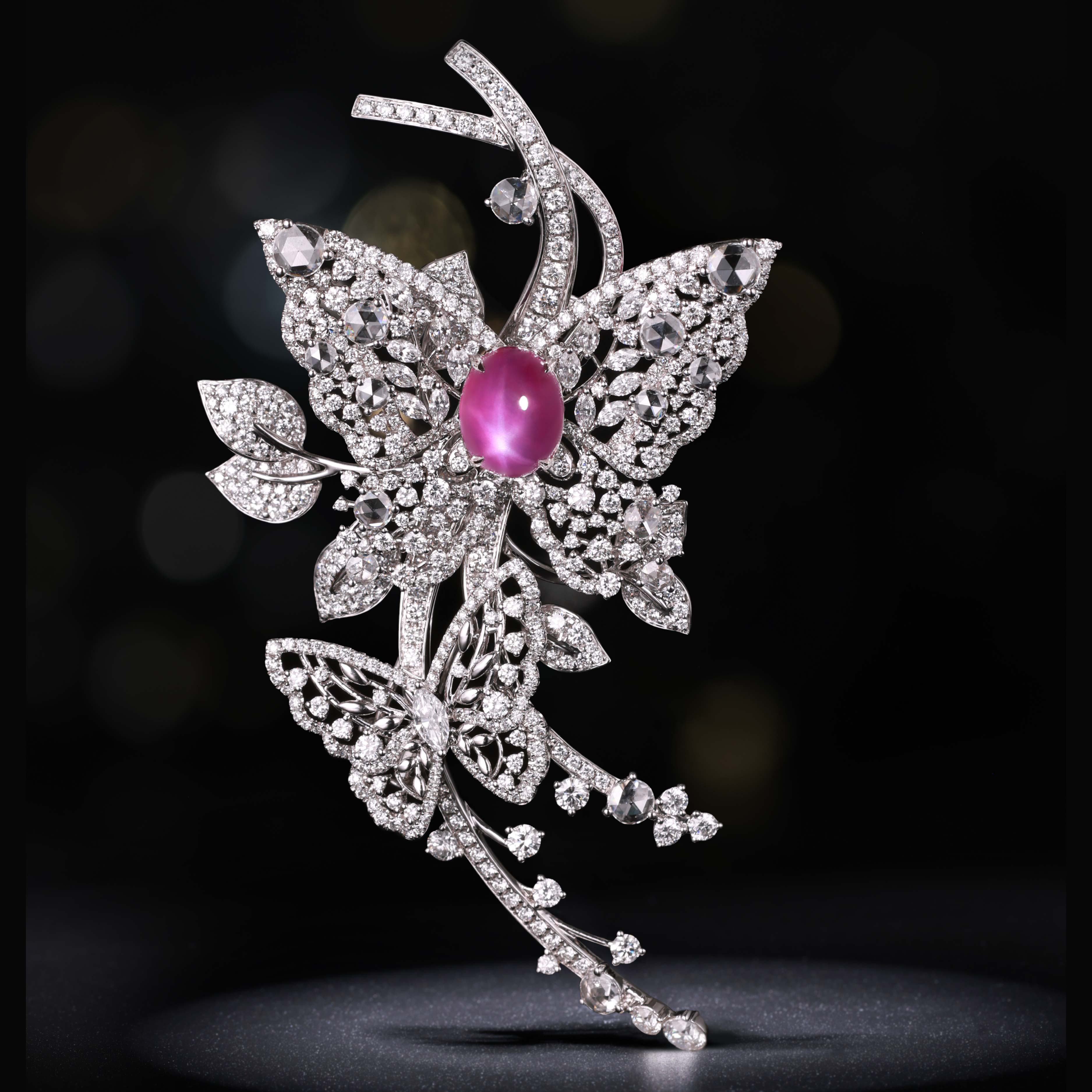 Natural Journey Collection Brooch Starlight Ruby 18K